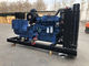 Blue 200kw Diesel Generator Leroy Somer Alternator Electric Generating Set