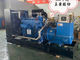 100 KW Water Cooling Generator UL Small Diesel Generator 12 Months Warranty