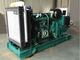 320 KW  Diesel Generator Set 400 KVA 60 HZ 1800 RPM AC Three Phase
