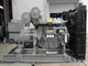400 KW Power Generator Set Brusless Alternator Open Diesel Generator Set