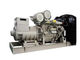 800 KW Perkins Diesel Generator Marathon Alternator Perkins Engine Generator