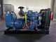 Low Noise China Diesel Engine Generator Low Fuel Consumption Long Life